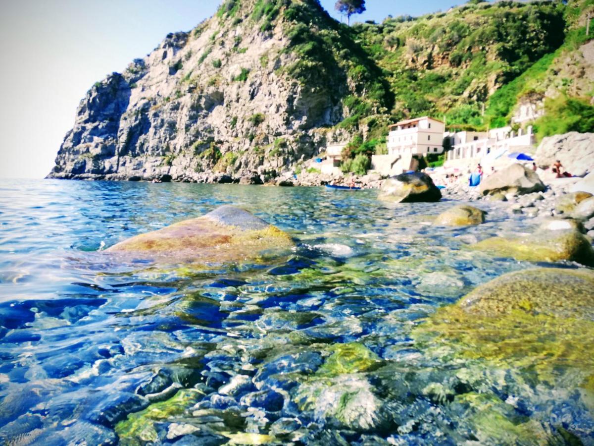 Verde & Mare Пальми Экстерьер фото