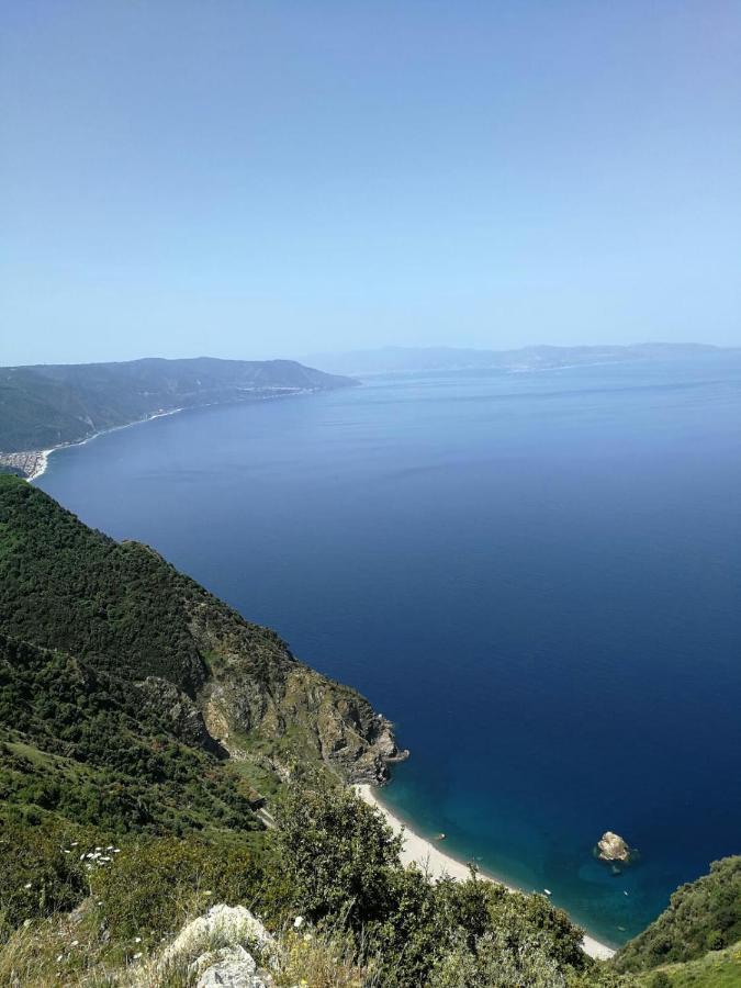 Verde & Mare Пальми Экстерьер фото